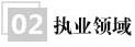 从业领域